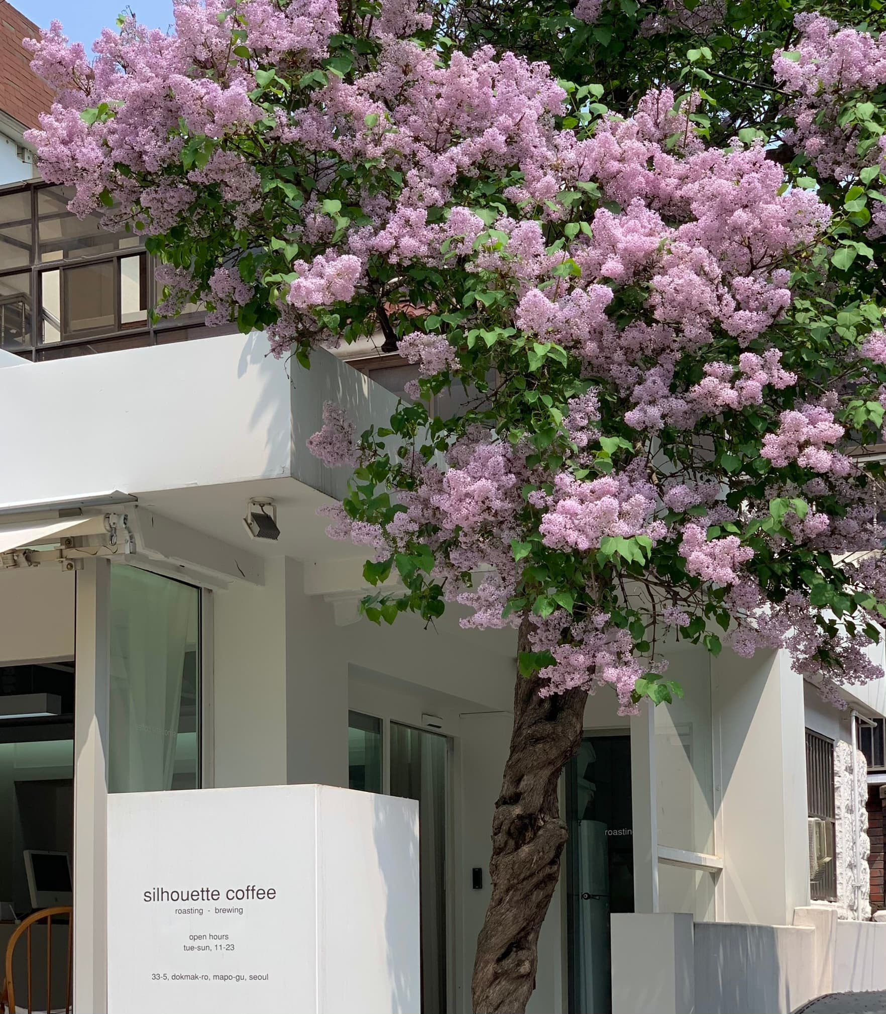 silhouette coffee 대표 사진