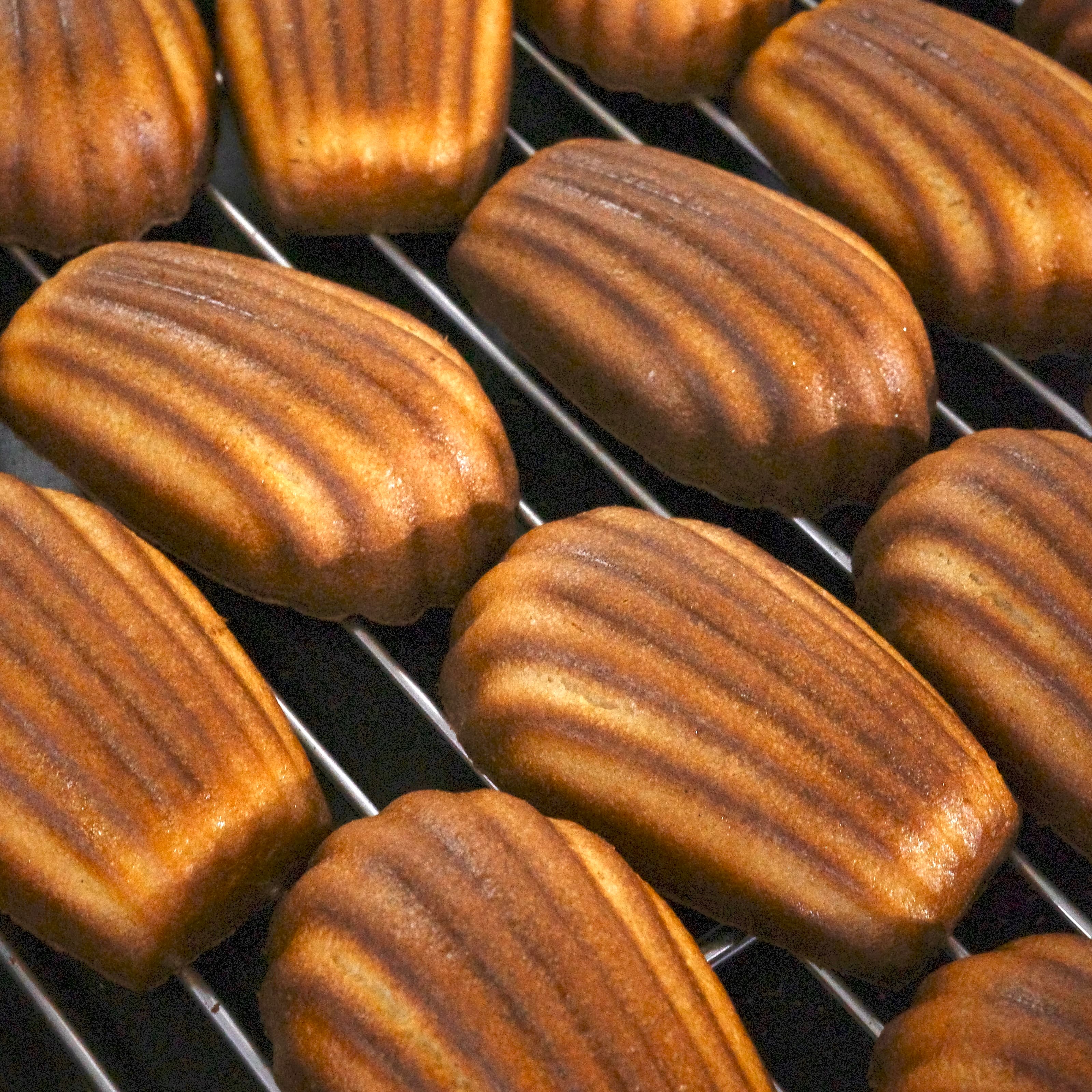 카페 코니 대표 사진