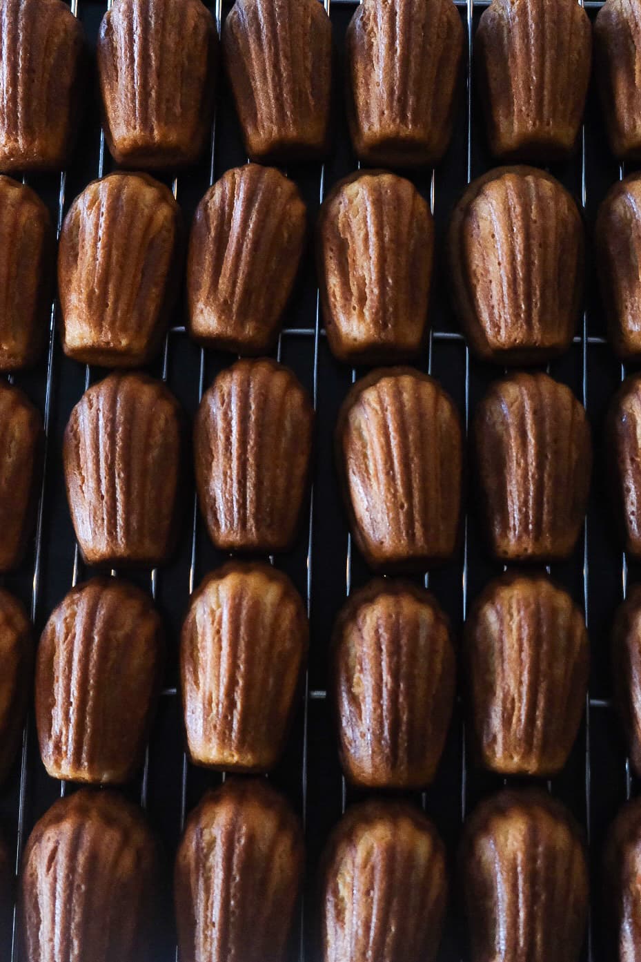 프랭크커핀바 대전둔산점