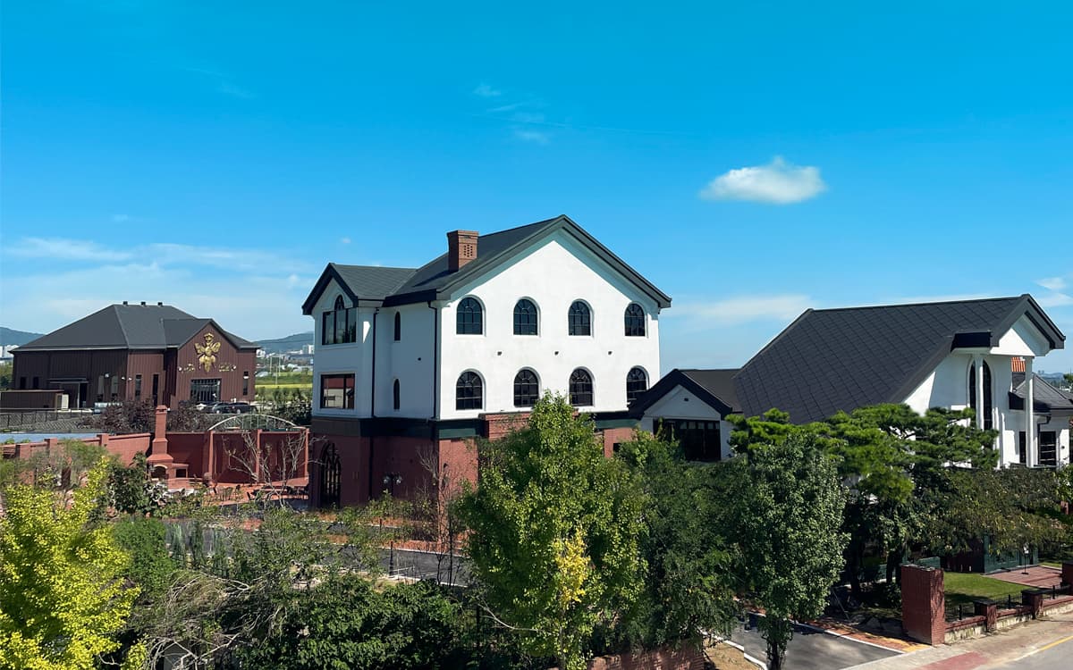 더비 대표 사진